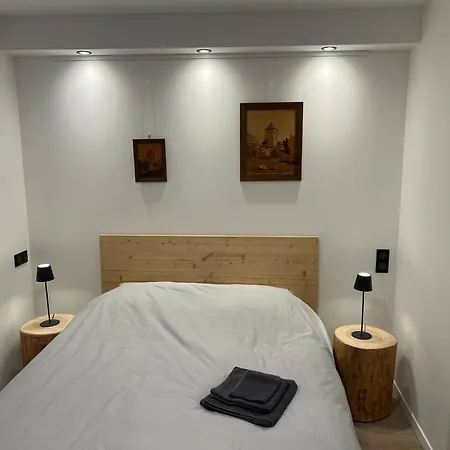 アパート Maison Climatisee Independante Et De Plein Pied Bischoffsheim